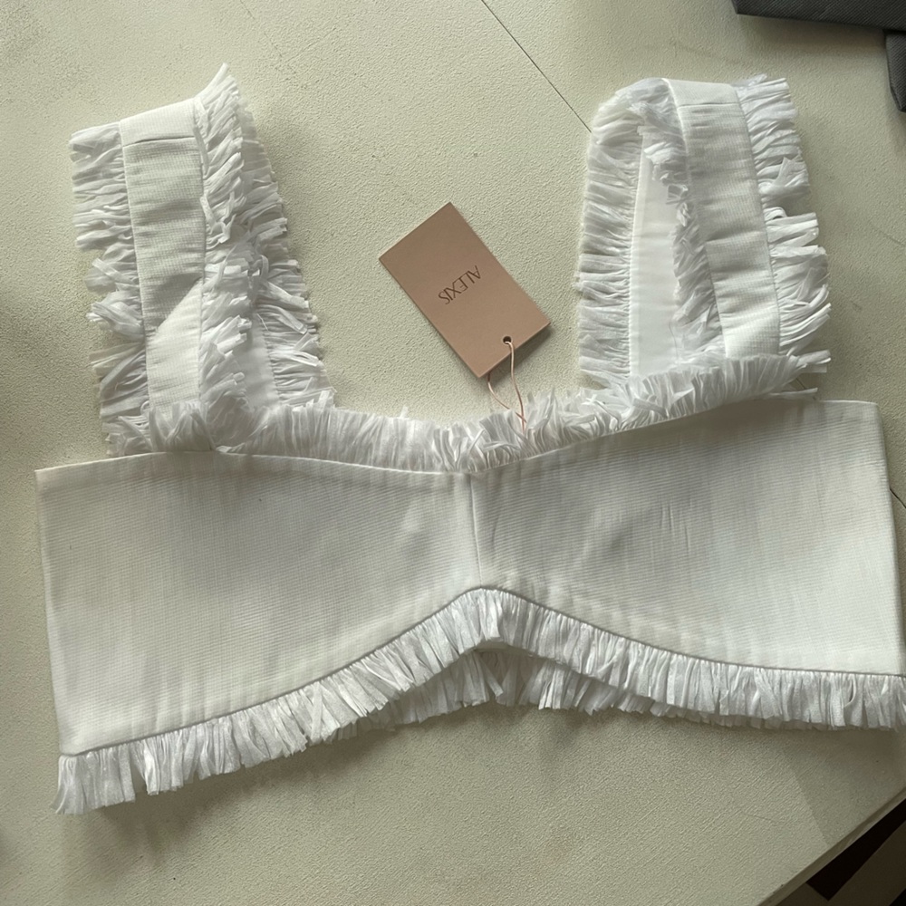 Alexis Elmi Raffia Top